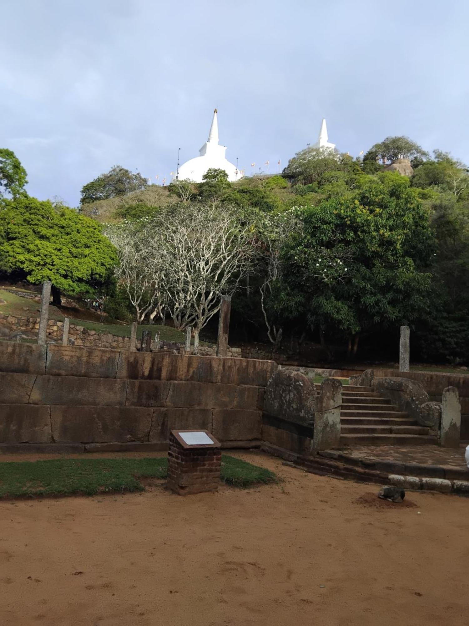Goalma Family Holiday Resort & Restaurant Anuradhapura Buitenkant foto